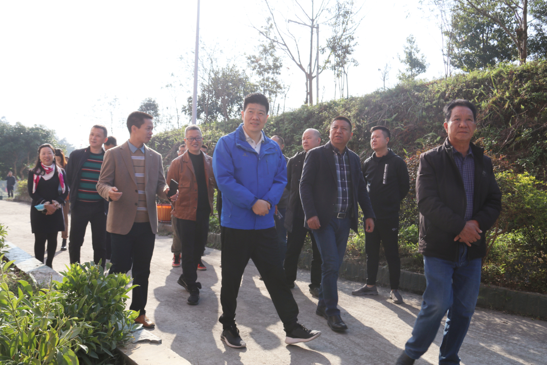 HJC黄金城集团(中国区)官方网站