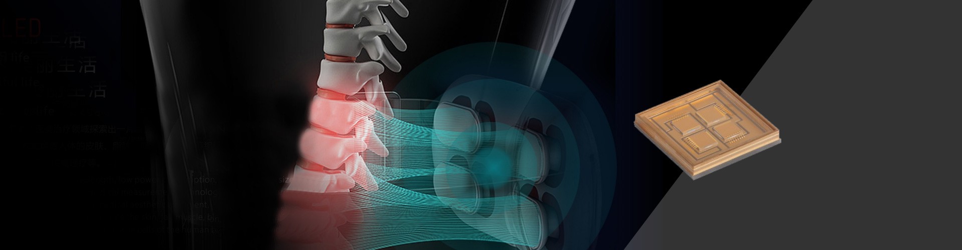 HJC黄金城集团(中国区)官方网站